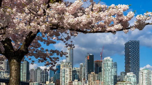 What Vancouver Is Best Known For (and What It Should Be Known For Instead)